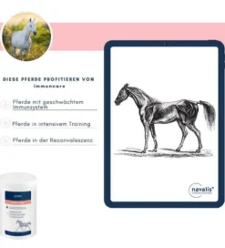 Immuncare, Ergänzungsfutter, Pulver