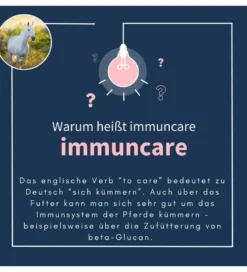 Immuncare, Ergänzungsfutter, Pulver