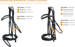 Kandare Equitus Gamma, anatomisches Spezialreithalfter