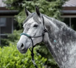 Knotenhalfter, mit Glitzersteinen