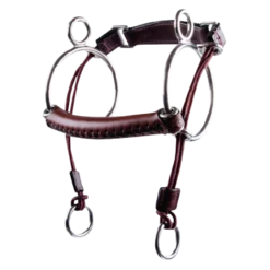 Leder Aufziehtrense Curb Gag straight