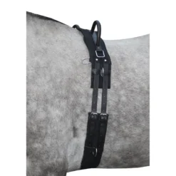 Longiergurt Canvas, mit Doppelgriff