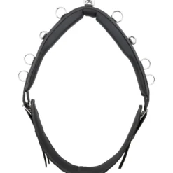Longiergurt Essentials Circle, mit Ringen