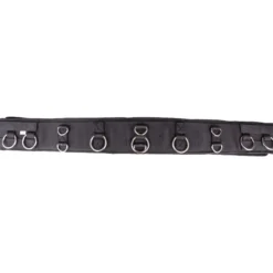 Longiergurt Essentials Circle, mit Ringen