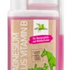 Magnesium Plus Vitamin B