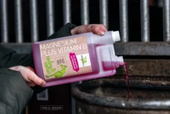 Magnesium Plus Vitamin B