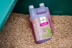 Magnesium Plus Vitamin B