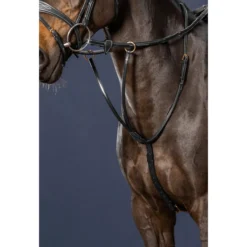 Martingal DC, Ringmartingal, D-Collection