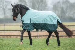 Outdoordecke Chester HW25, 100 g