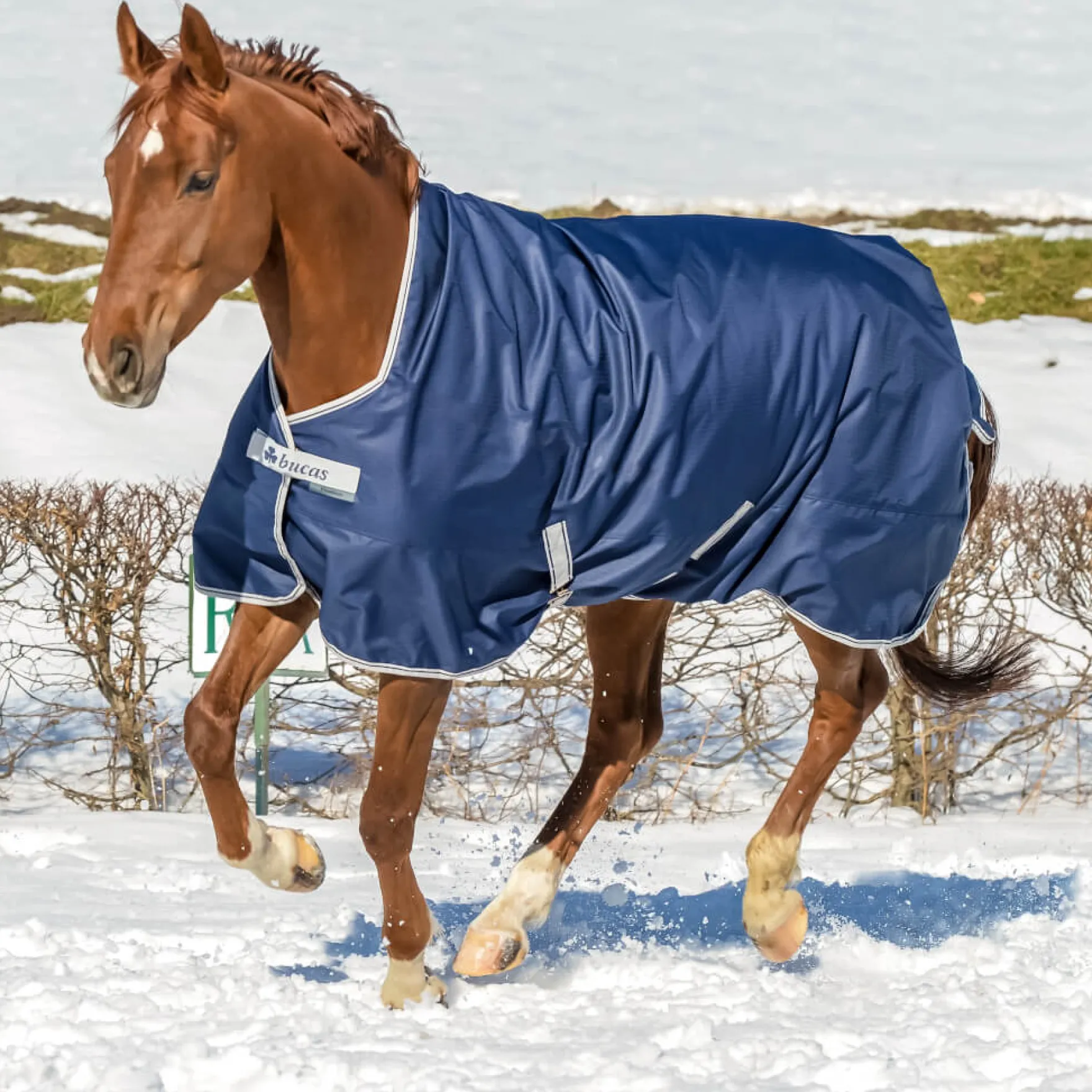 Outdoordecke Freedom Turnout Light High Neck, 0 g