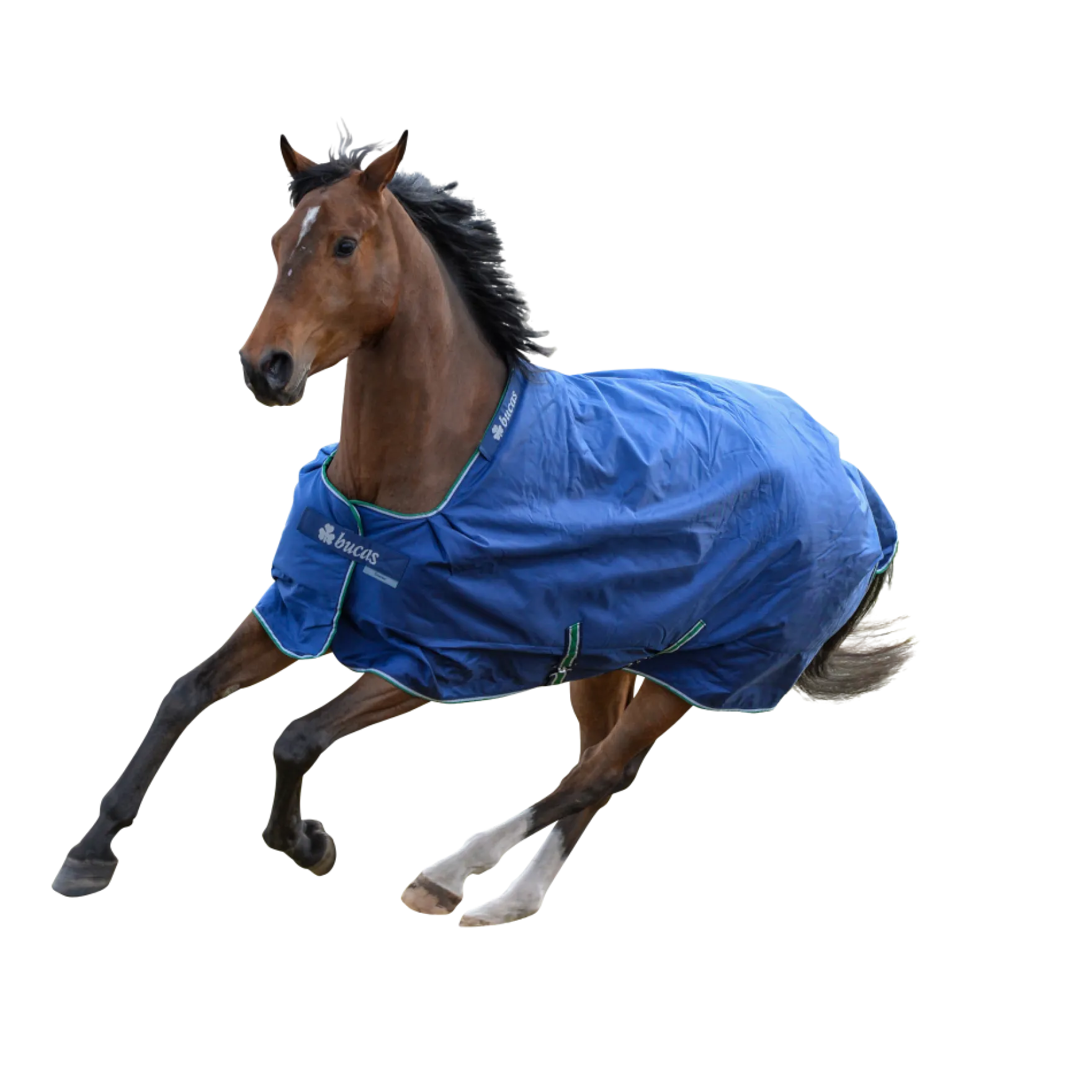 Outdoordecke Smartex Turnout Extra, 300 g