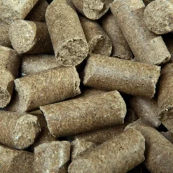 Pferdeleckerlis Lecker Bricks