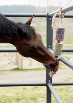 Pferdespielzeug Relax Horse Toy Freedom, Knabberspielzeug
