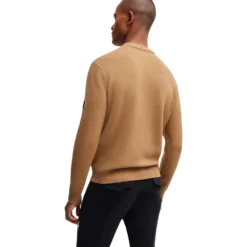 Pullover Herren Rayn HW24, Strickpullover