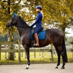 Reithose Damen Lymee HW25, Softshellreithose, Vollbesatz, Full-Grip, High Waist