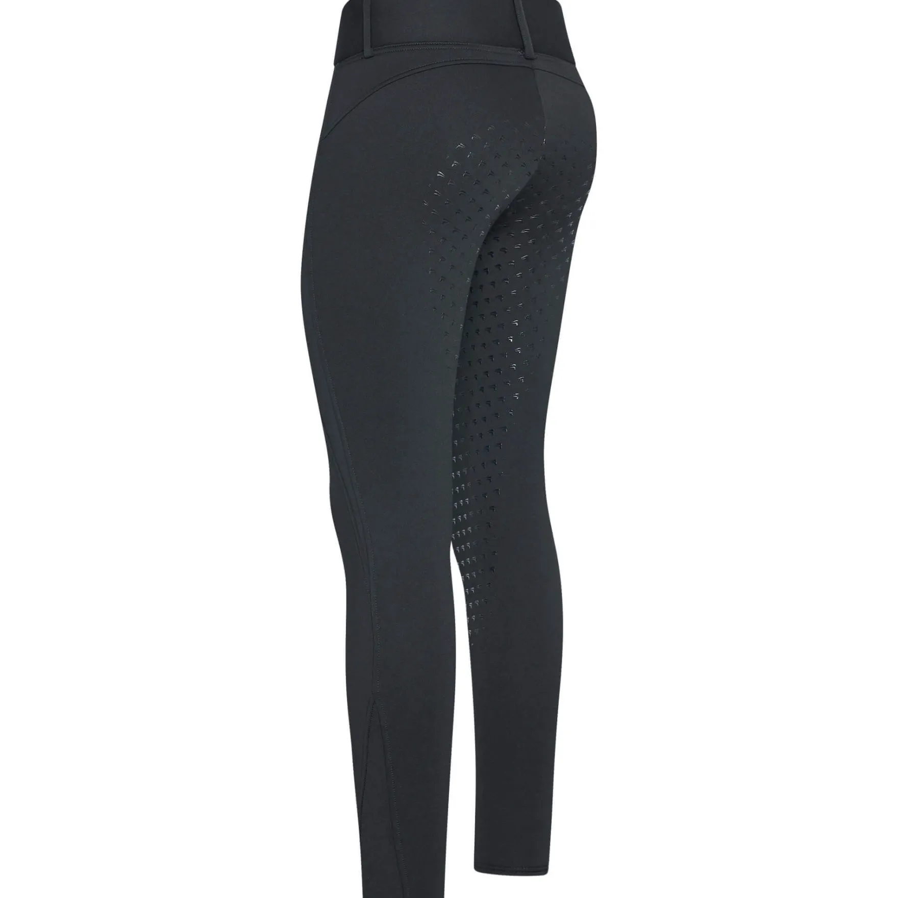 Reitleggings Damen ERDon, Vollbesatz, Full-Grip, Winterreitleggings, Softshell