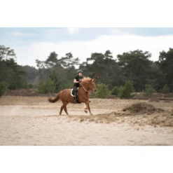 Reitpad Bareback Pad IHRfree Ride, Reitkissen