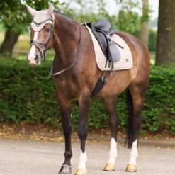 Schabracke ESCato HW25, Dressurschabracke