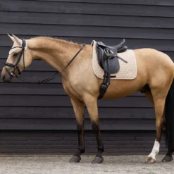 Schabracke ESCoco HW25, Dressurschabracke