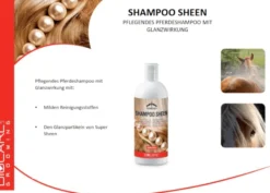 Shampoo Sheen