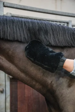 Sheepskin Grooming Glove, Putzhandschuh