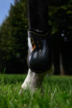 Streichkappen Carbon Gel Absolute, Aachen Edition