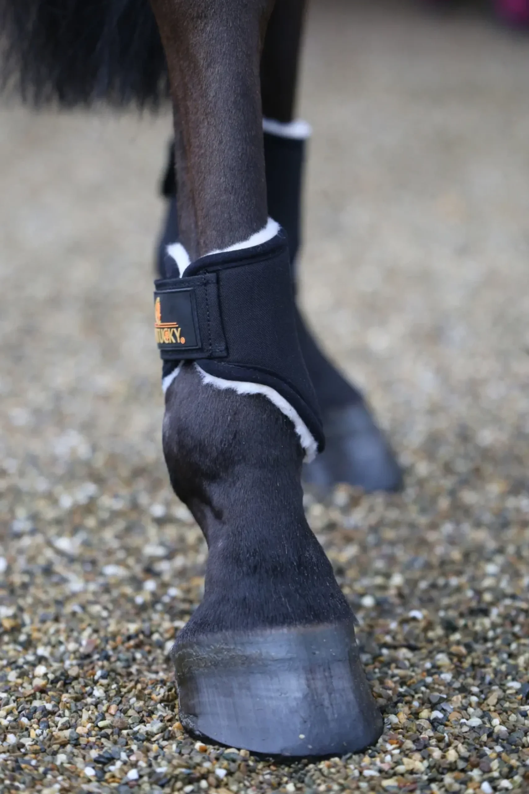 Streichkappen Turnout Boots Solimbra Short, mit Kunstfell