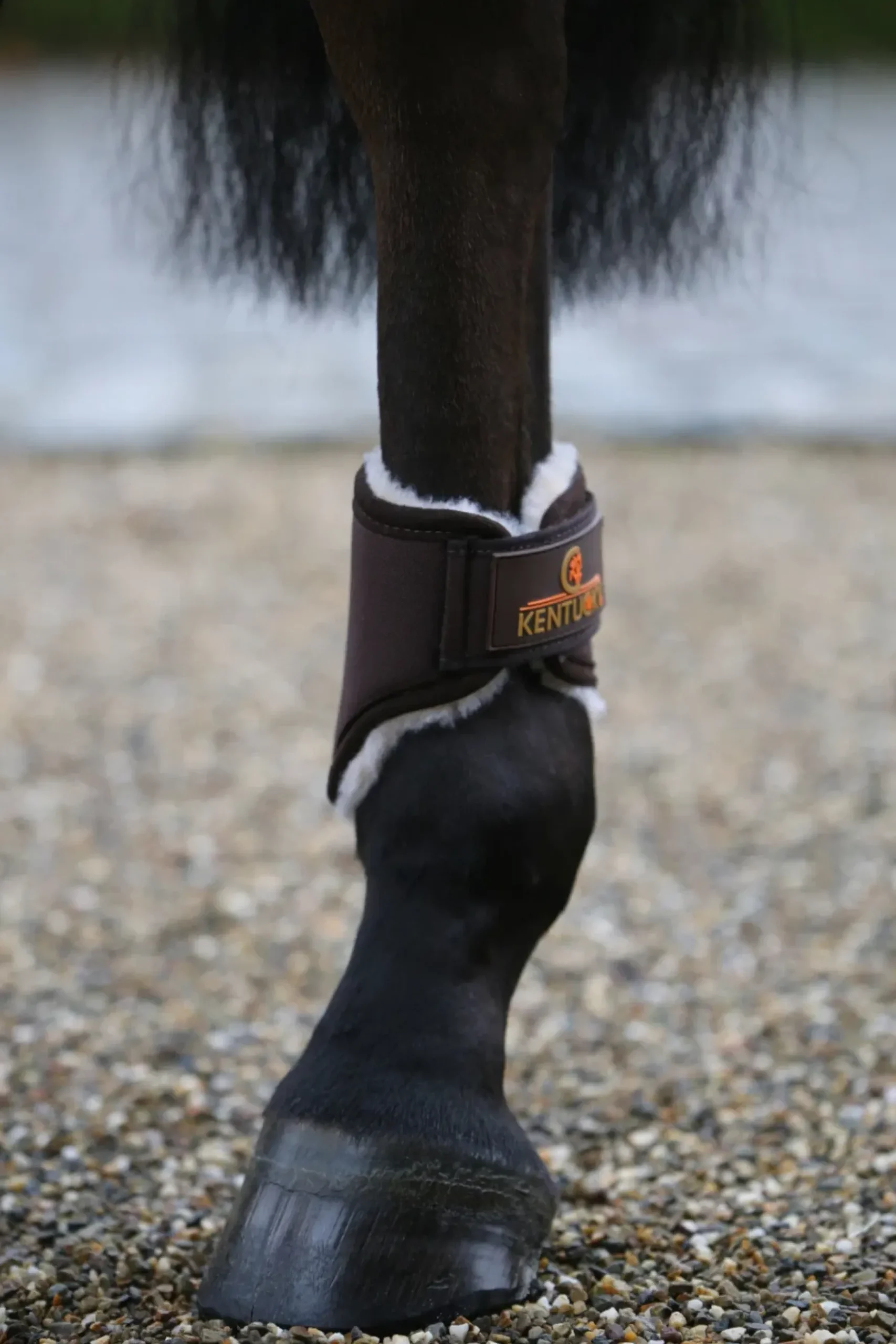 Streichkappen Turnout Boots Solimbra Short, mit Kunstfell