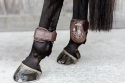 Streichkappen Young Horse