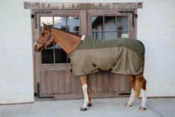Transport Combo Fleecedecke, 150 g, Transportdecke, Turnierdecke, Abschwitzdecke