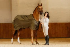 Transport Combo Fleecedecke, 150 g, Transportdecke, Turnierdecke, Abschwitzdecke