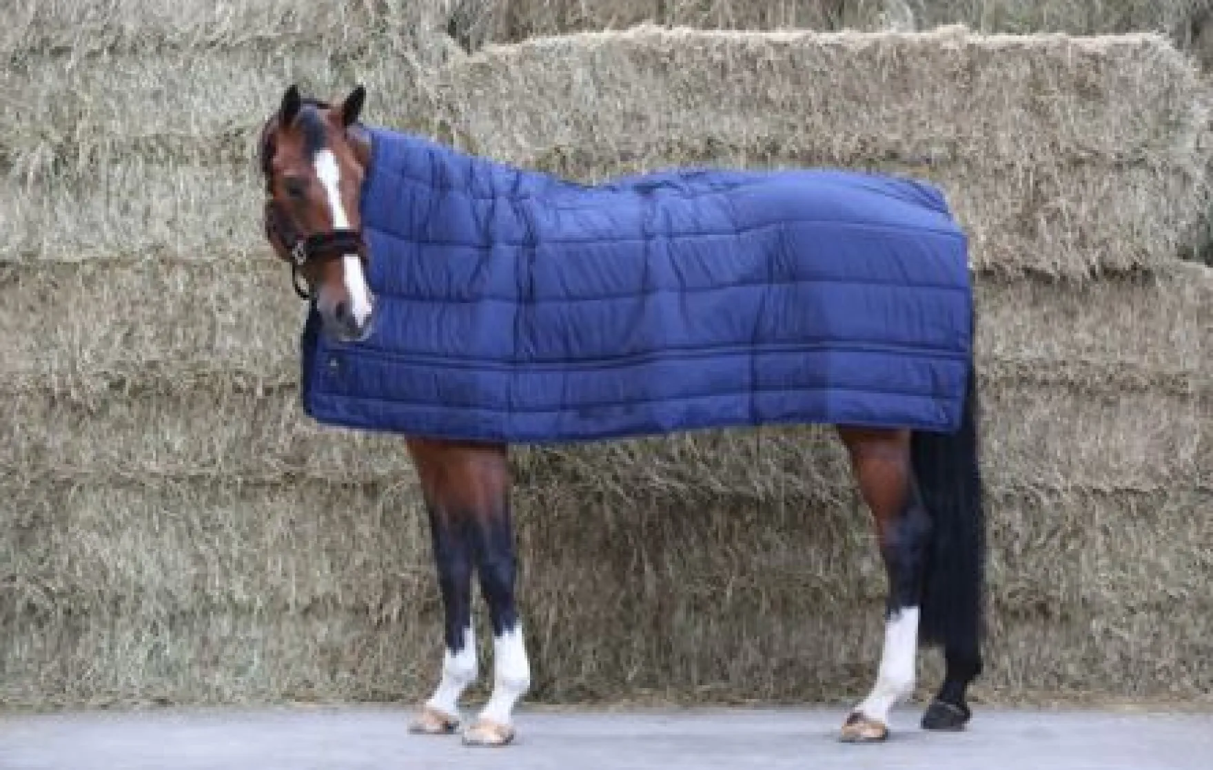 Unterdecke Horse Duvet, 300g, Winterdecke