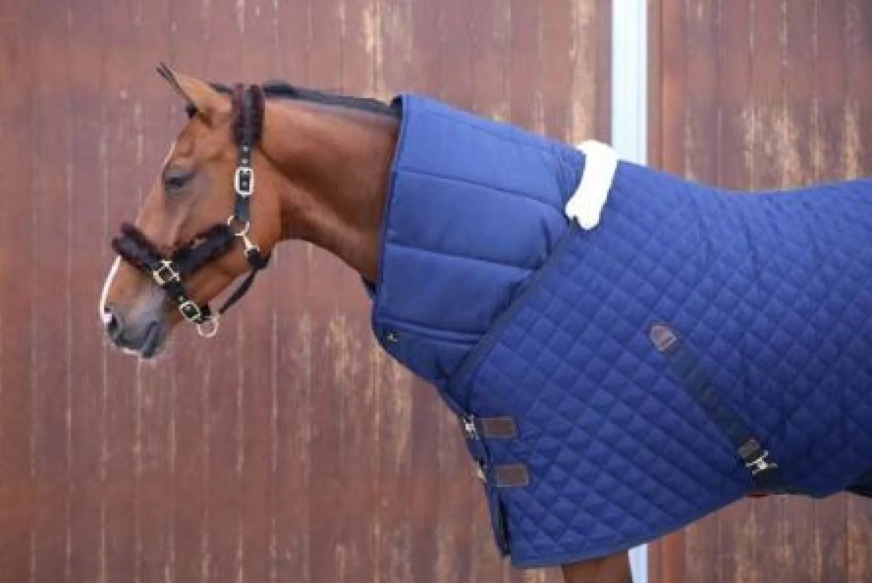 Unterdecke Horse Duvet, 300g, Winterdecke
