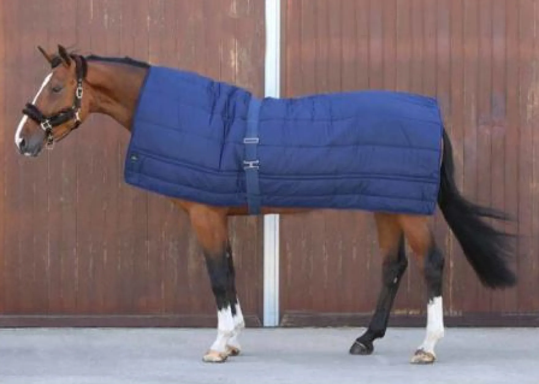 Unterdecke Horse Duvet, 300g, Winterdecke